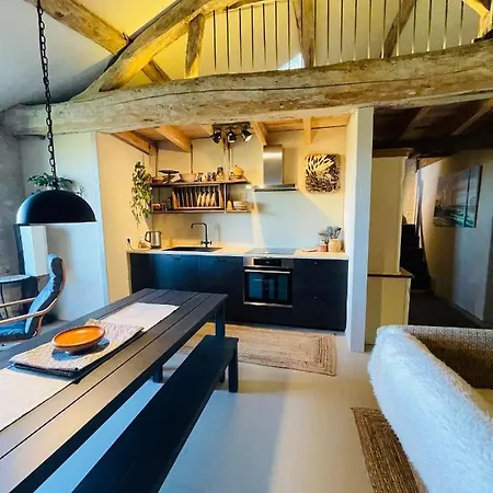 Apartament Chene Dore